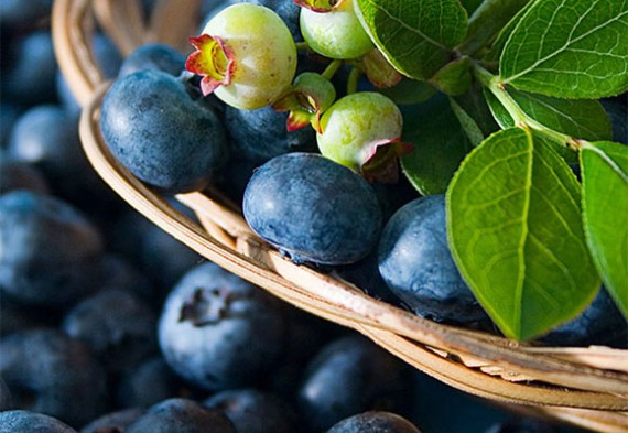 basket of blueberries